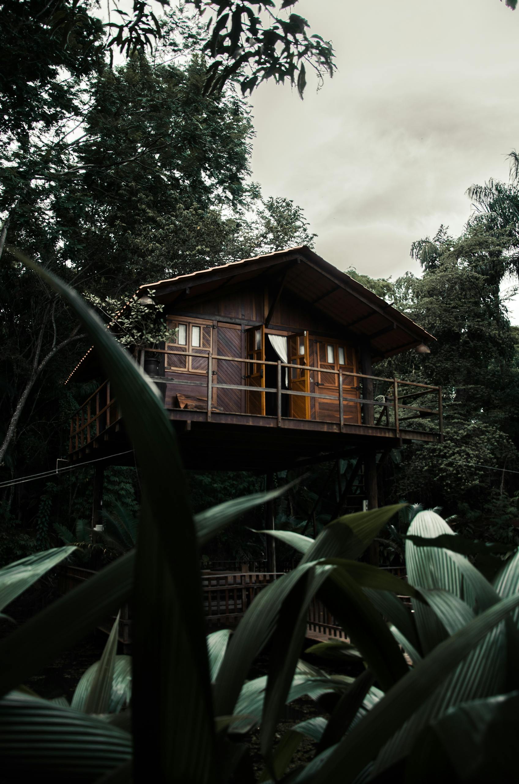 Charming wooden cabin surrounded by dense greenery, offering a tranquil nature retreat.